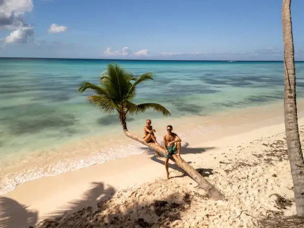 Para na palmowym drzewie na plaży, idealne miejsce na Mauritius na własną rękę.