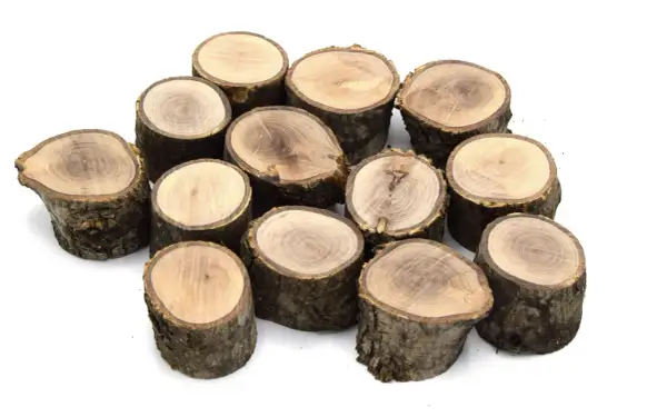 Montón de troncos de madera en bruto, listos para comprar y usar en manualidades o decoración.