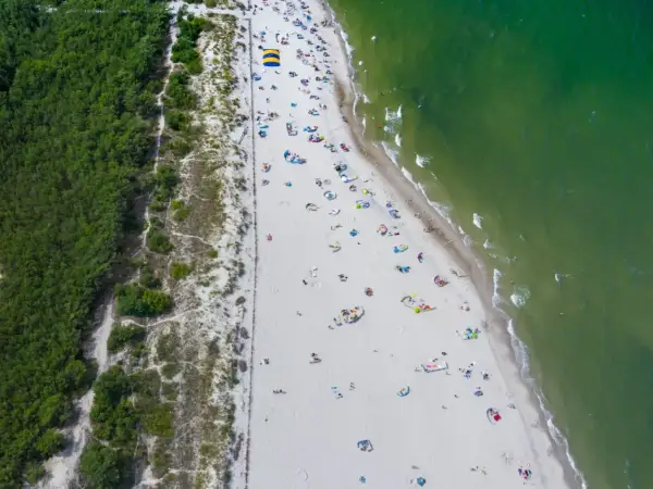 Plaża pełna ludzi, gdzie jest najcieplejsza woda w Bałtyku? Zielone morze, biały piasek i las sosnowy tworzą idealne miejsce na wypoczynek.