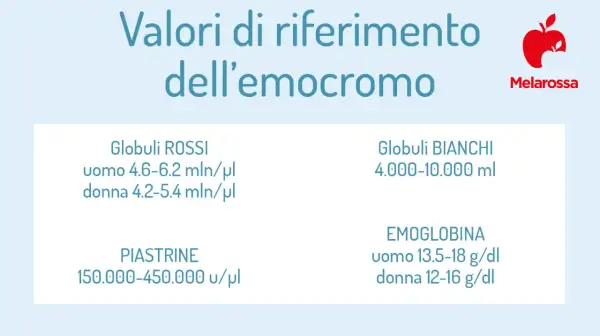 Valori di riferimento dell'emocromo: globuli rossi, bianchi, piastrine ed emoglobina. Scopri cosa sono e i valori normali.