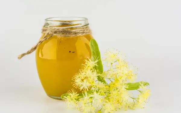 Ein Glas goldgelber Lindenhonig, verziert mit Juteschnur, neben frischen Lindenblüten. Lindenhonig gesund und wohltuend.