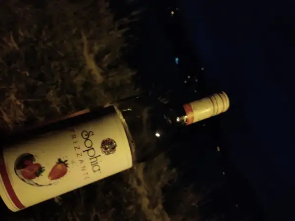 Butelka wina Sophia Frizzante z truskawkami na etykiecie, leżąca na ciemnym tle.