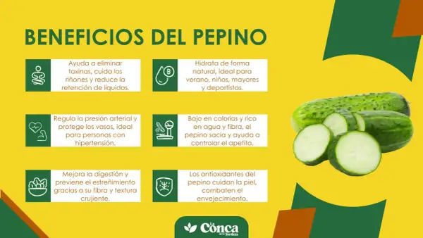 El pepino es bueno para hidratar, eliminar toxinas, regular la presión y mejorar la digestión. ¡Un aliado para tu salud!