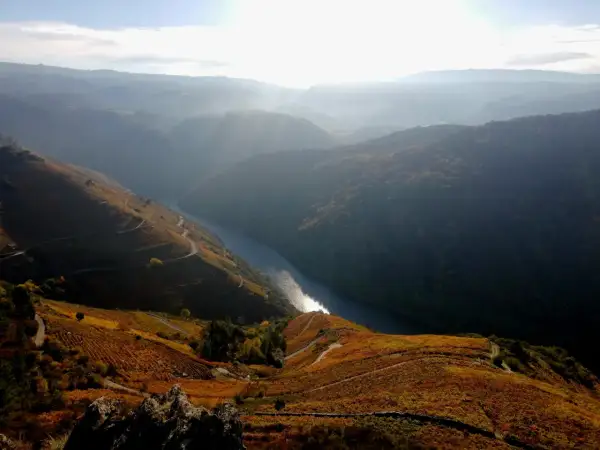 Vistas impresionantes desde el mirador Pena do Castelo, con un río serpenteante y viñedos otoñales dorados.