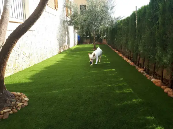 Un perro blanco juega con una pelota azul en un jardín con césped artificial.