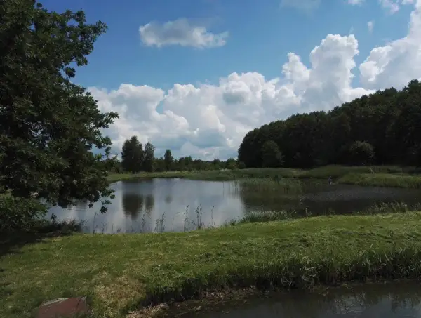 Spokojne łowisko Przemka nad jeziorem, otoczone zielenią i chmurami.
