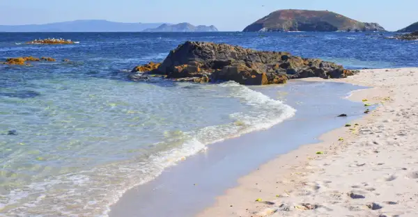 Aguas cristalinas acarician las **islas de Ons playas** de arena dorada. Rocas oscuras emergen del mar azul, mientras gaviotas planean en el cielo despejado.
