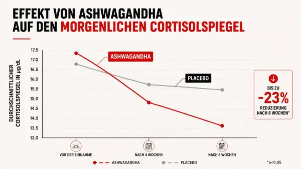 Grafik zeigt, wie Ashwagandha den morgendlichen Cortisolspiegel senkt. Bis zu 23% Reduzierung nach 8 Wochen, was bei der Gewichtsabnahme helfen kann.