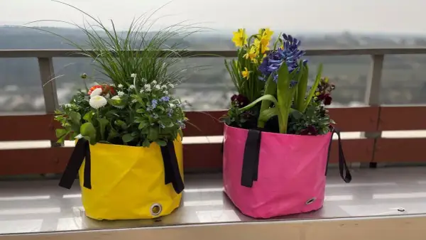 Zwei bunte Pflanztaschen, gefüllt mit blühenden Blumen im Juni. Gelb und Pink leuchten auf dem Balkon.