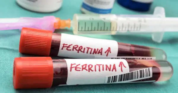 Dwie probówki z krwią oznaczone "Ferritina" i strzałką w górę, sugerujące potrzebę podniesienia ferrytyny. W tle strzykawka i fiolki.