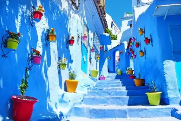 Escaleras azules adornadas con macetas de colores vibrantes, un sueño para quien decide viajar solo a Marruecos.