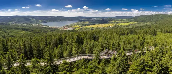Der Baumwipfelpfad Lipno schlängelt sich durch einen dichten Nadelwald. Im Hintergrund liegt ein See mit einer kleinen Stadt.