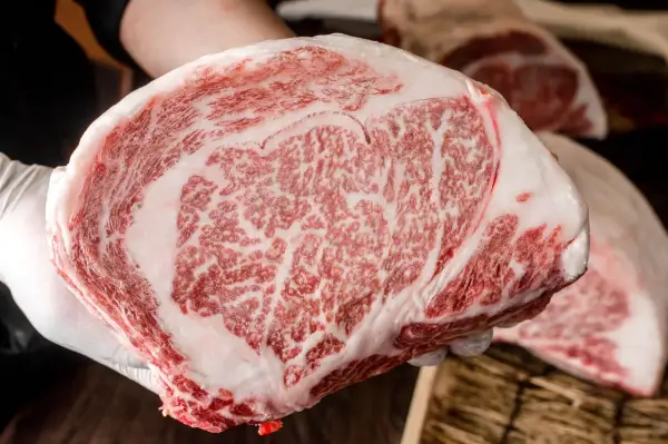 Ręka w białej rękawiczce trzyma kawałek soczystej wołowiny krowy wagyu z charakterystycznym marmurkowym przerostem tłuszczu.