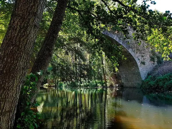 Puente de piedra sobre un río tranquilo, reflejando árboles frondosos. Un rincón idílico en Montemayor del Río, como una piscina natural.