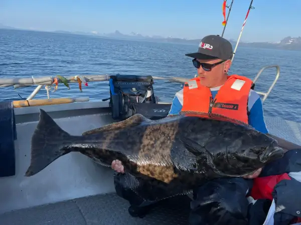 Ein Mann mit orangefarbener Schwimmweste hält einen riesigen Heilbutt auf einem Boot. Ein erfolgreicher Tag beim Sommarøy Angeln mit beeindruckendem Fang.