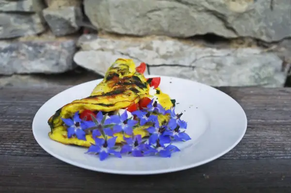 Omlet z pomidorami i serem, ozdobiony niebieskimi kwiatami ogórecznika. Idealny pomysł na śniadanie, inspirowany prostymi przepisami.
