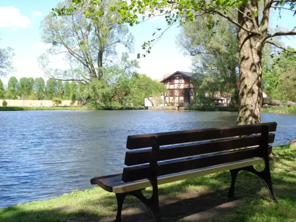 Ławka nad jeziorem, idealne miejsce, gdzie na spacer w Gdańsku. W tle malowniczy dom i bujna zieleń.