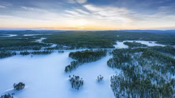 Zimowy krajobraz z zamarzniętym jeziorem, które jest największym jeziorem w Europie. Otoczone lasem sosnowym, pokryte śniegiem.