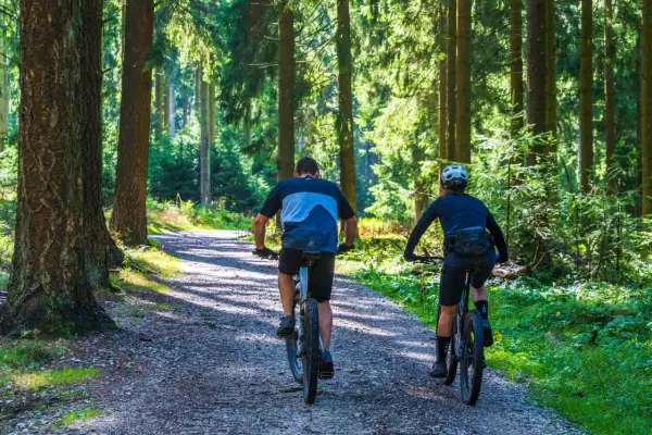 Dwóch rowerzystów przemierza leśną ścieżkę, ciesząc się aktywnym weekendem w Polsce.