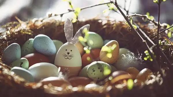 Ein Osternest mit bunten Eiern und einem Hasen-Ei. Ein Symbol für das Christentum und den Neuanfang.