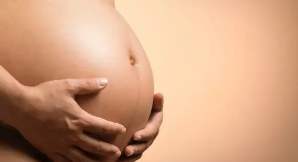 Gravid mage med händer som håller om den. En mörk linje syns på magen, tecken på lyckad hinnsvepning.