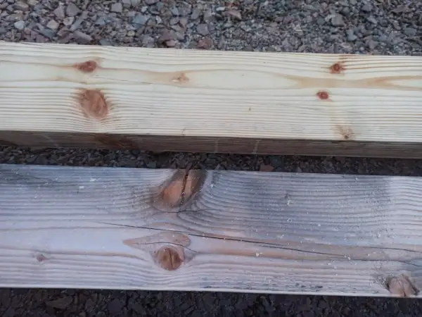 Dwa drewniane deski, jedna jasna, druga z widoczną sinizną drewna, leżą na żwirze.
