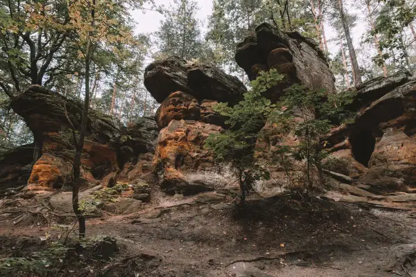 Skałki Piekło pod Nieklaniem to labirynt piaskowcowych form skalnych, gdzie drzewa oplatają pomarańczowe skały.