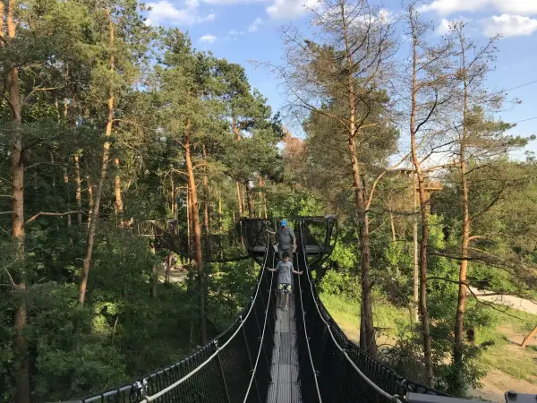 Niesamowity zdziar spacer w koronach drzew! Dzieci i dorośli pokonują wiszący most, otoczeni zielenią i słońcem.