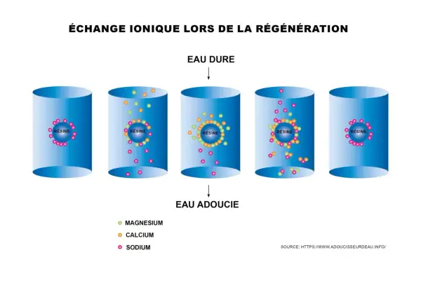 Schéma illustrant l'échange ionique lors de la régénération d'un adoucisseur d'eau. L'eau dure, riche en magnésium et calcium, passe à travers une résine qui retient ces ions, libérant du sodium. La consommation d'un adoucisseur d'eau est ainsi optimisée.