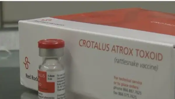 A vial and box of Crotalus Atrox Toxoid, a rattlesnake vaccine for dogs, are shown.