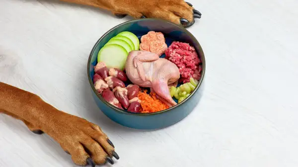Un nutricionista de perros crea recetas con ingredientes frescos: codorniz, corazones, carne picada, calabacín, zanahoria y apio.