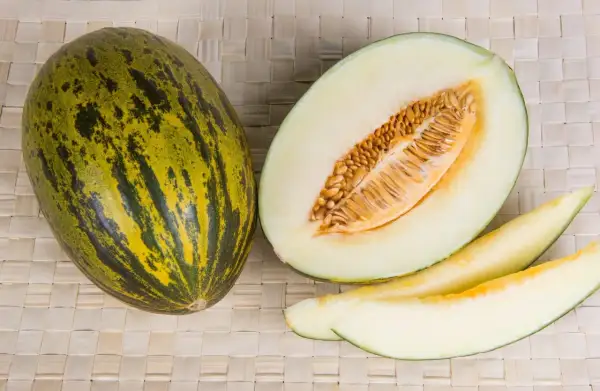 Un intero melone di Borgogna, tagliato a metà e a fette, mostra la sua polpa chiara e i semi dorati.