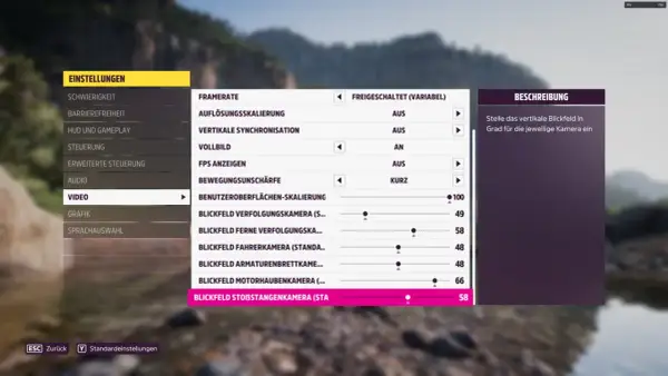 Einstellungen für die Forza Horizon 5 Grafik: Blickfeld-Optionen für verschiedene Kameras.