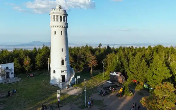 Wieża widokowa na szczycie gór Sowich, otoczona lasem, zaprasza turystów do podziwiania panoramy.
