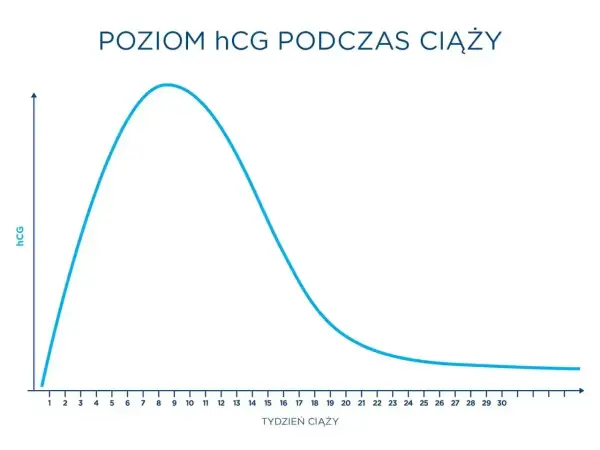 Wykres poziomu beta hCG podczas ciąży. Badanie beta hcg można wykonać niezależnie od tego, czy jest się na czczo.