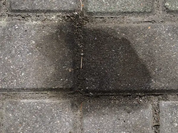 Stare plamy z oleju na kostce brukowej tworzą ciemny, rozlany kształt.
