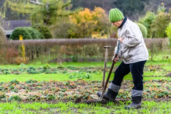 Osoba w zielonej czapce kopie łopatą w ziemi na tle ogrodu.