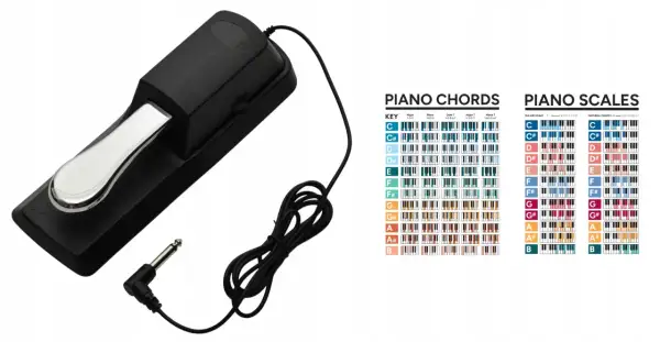 Czarny pedał do keyboardu, idealny do nauki akordów i skal.