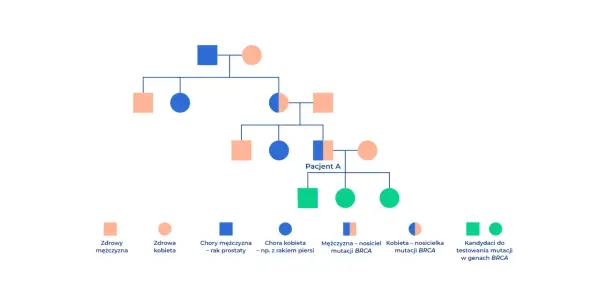 Drzewo genealogiczne pokazuje, czy rak prostaty jest dziedziczny. Widać tu osoby chore i nosicieli mutacji BRCA.