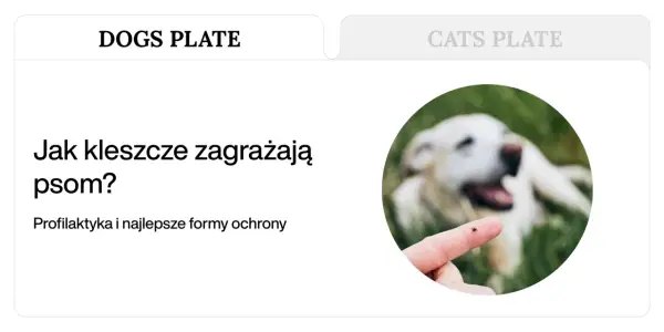 Kleszcz na palcu, w tle rozmyty pies. Dowiedz się, co na kleszcze dla psa jest najskuteczniejsze.