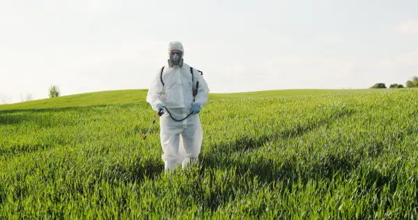 Rolnik w kombinezonie ochronnym i masce przeprowadza fumigację na zielonym polu.