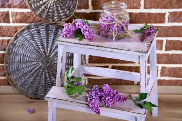 DIY Lawenda: Od zbioru po gotowe dekoracje Twój przewodnik