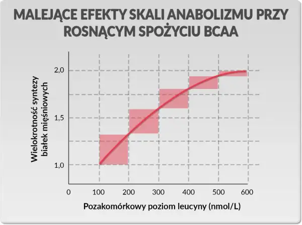 Wykres pokazuje, że przy rosnącym spożyciu BCAA efekty anaboliczne maleją. Optymalny czas na przyjmowanie BCAA to moment, gdy poziom leucyny jest umiarkowany.