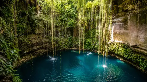 El **cenote Ik Kil** es un oasis natural con aguas turquesas rodeado de vegetación exuberante y lianas colgantes.
