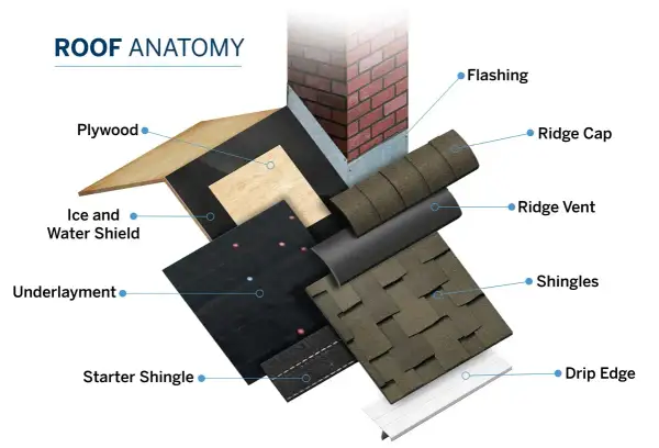 Diagram showing roof anatomy, detailing layers like plywood, underlayment, and what is a shingle roof, with labels for flashing, ridge cap, and drip edge.