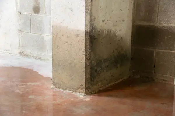 Wilgotne ściany i kałuże na podłodze piwnicy sugerują, że beton przepuszcza wodę. Widoczne ciemne zacieki.