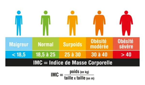 Tableau IMC : pour 1m58, le poids idéal se situe entre 45 et 61 kg pour une corpulence normale.