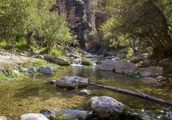 Un arroyo sereno fluye entre rocas y vegetación exuberante, formando pequeños saltos de agua. Los **canales de Padules** ofrecen un paisaje natural y refrescante.