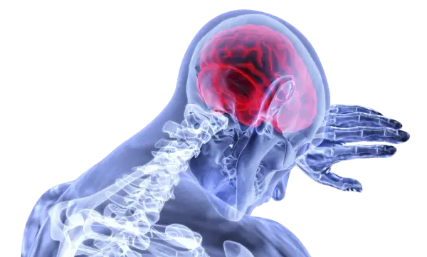 Nietolerancja glutenu a mózg: Neurologiczne objawy, których nie znasz?