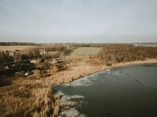 Zimowy krajobraz nad jeziorem Pniewy. Lód pokrywa część wody, a trzciny szumią na brzegu. W oddali widać las i pola.
